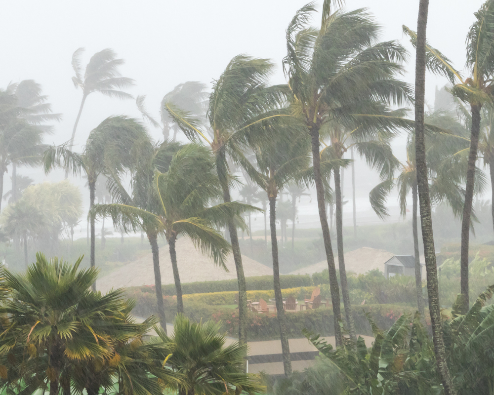 Impact Window Installation near Cape Coral